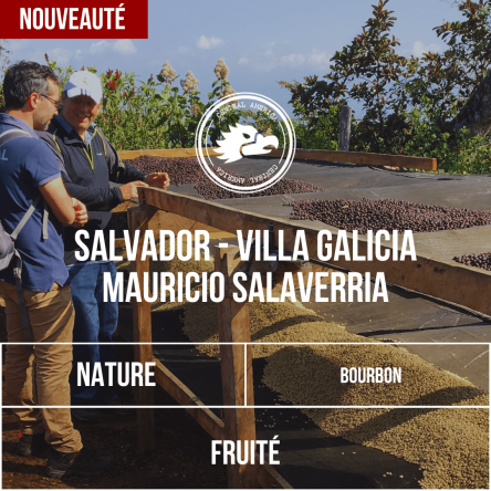 Salvador – Villa Galicia, Mauricio Salaverria